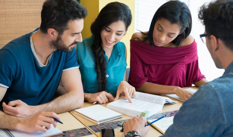 Individualized Consultation with Industry Mentors & Tutors